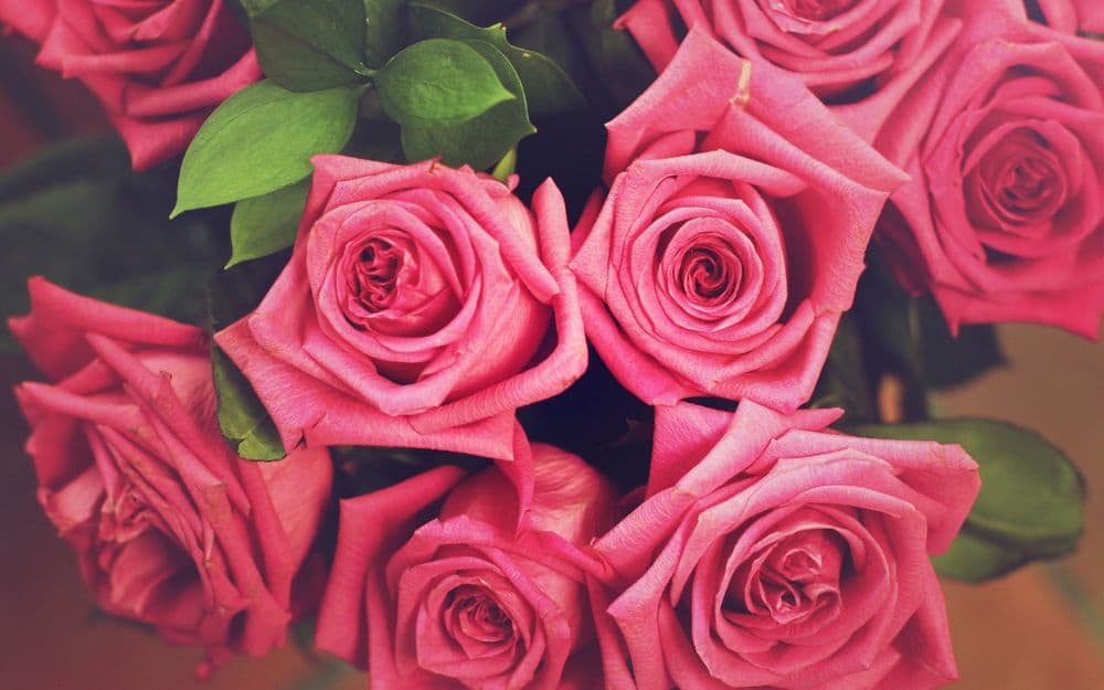 Каково значение очаровательных роз?